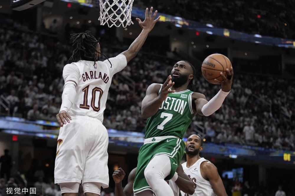 的观赏性 的观赏性